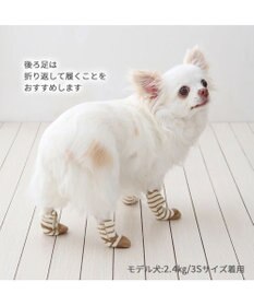 PET PARADISE ペットパラダイス makokoro スリット 靴下 《ボーダー》  Ｓ 小型犬