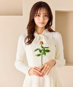 Feroux 【先行予約】リボンタイリブ ニット