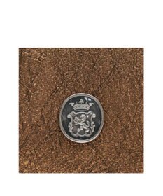 A.D.M.J. 【牛革】メタリックレザー/ヘリ巻きベルトトートM(Dカン+)