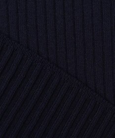 ANY SIS L 【アンサンブル対応】バイカラーリブ ニット