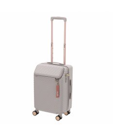 ACE BAGS & LUGGAGE HaNT ヘイヘイTR スーツケース 40L 機内持込  05180 ハント