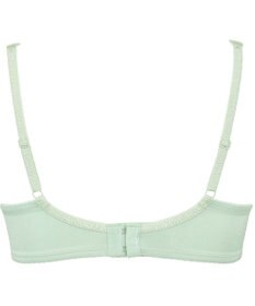 Wing Wing Lesiage 【3000シリーズ】 PB3000 ウイング／ワコール