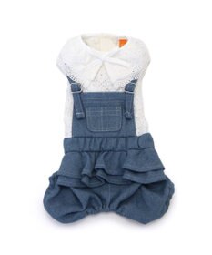 PET PARADISE ペットパラダイス レース襟 パンツつなぎ 小型犬　