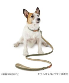 PET PARADISE ペットパラダイス 合皮 リード 《カーキ》 小型犬 SS～S