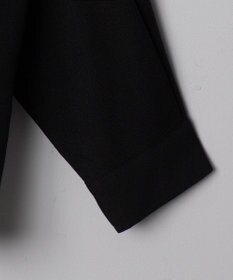 WEGO アムンゼンワンポイントBIGシャツ（LS）