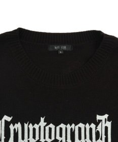 WEGO ダメージボーダーニットプルオーバー(SS)