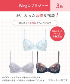 Wing 【2026年HAPPY BAG】 ウイング ブラジャー 3枚セット