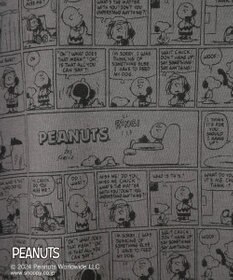 Green Parks ■ＰＥＡＮＵＴＳ　コミックロンＴ