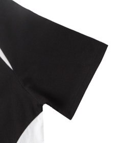 WEGO ゲームグラフィック切り替えビッグT