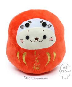 Mother garden しろたん お座り 赤だるま 《しろ福》  27.5cm