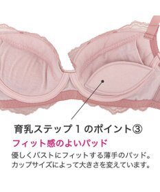 BRADELIS New York 【BRADELIS New York】ジャスミンステップ１ブラ23S1 しっかりバストを集めてナチュラルなシルエットを作る補整ブラ