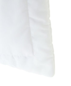 Green Parks １０ｔｈベイマックス／パフィートートバッグ