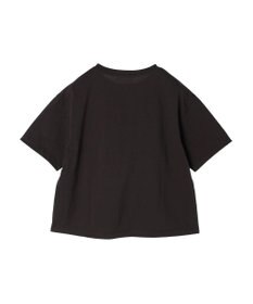 Green Parks フォトボックスＴシャツ