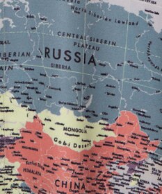 WEGO アムンゼンパターンBIGシャツ