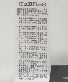 Green Parks １０１匹わんちゃん／バックプリントスウェット