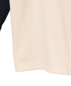 WEGO ダブルジップワッペンロゴラグランロンT