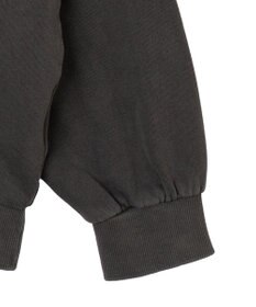 WEGO 【ユニセックス着用ITEM】ピグメントグラフィックプルパーカー