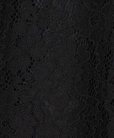 BEIGE， KALMIA / バックファスナーレースドレス