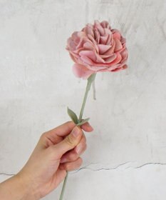 POLS 母の日ギフトセット(Mサイズ)