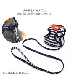 PET PARADISE Lee ハーネス＆リード 《ボーダー》 ３Ｓ 小型犬
