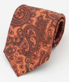 J.PRESS MEN ペイズリープリント ネクタイ