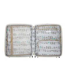 ACE BAGS & LUGGAGE HAyU×ace. セダム スーツケース 40L 機内持込 09081 ハユ エース