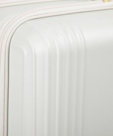 ACE BAGS & LUGGAGE HAyU×ace. セダム スーツケース 40L 機内持込 09081 ハユ エース