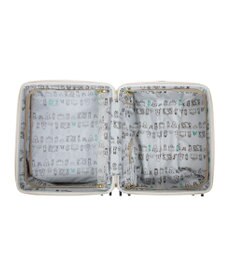 ACE BAGS & LUGGAGE HAyU×ace. セダム スーツケース 40L 機内持込 09081 ハユ エース