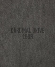 AMERICAN HOLIC バックロゴルーズＴシャツ