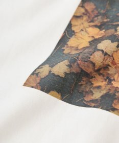 earth music&ecology アソートプリントワイドTee