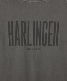 AMERICAN HOLIC バックロゴルーズＴシャツ