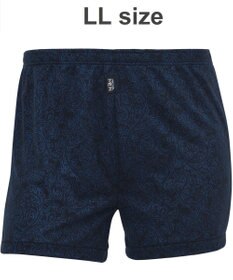 WACOAL MEN トランクス　【らく窓パンツ】　ボタンがなく、開閉がラク　しっとりなめらかな肌ざわり　前開き　/ワコールメン　WT5422