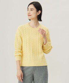 J.PRESS LADIES L 【WEB限定カラーあり・洗える】EIGER CORD ALAN クルーネックプルオーバー ニット