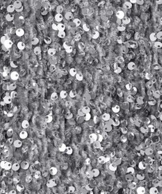 NAVE 【Nave・洗える】スパンコール スカート