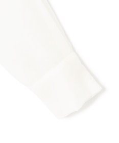 ICB L 【洗える】 PlaXシアーオーガンジー シャツ