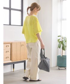 AMERICAN HOLIC シアーＢＩＧＴＥＥ