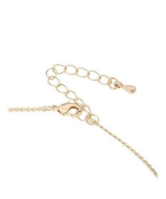 Green Parks ｅｖｅｒｙ　ｗａｌｋ．　マルチウェイロングネックレス