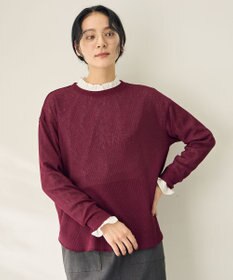 ANY L シアーワッフルロングスリーブTシャツ