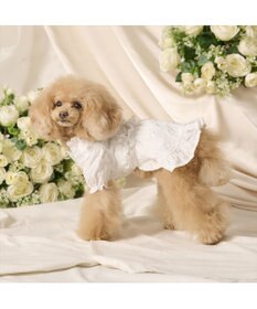 PET PARADISE cherircouture フリルリボン ワンピース 《ホワイト》 小型犬