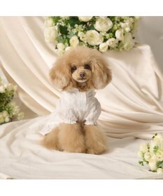 PET PARADISE cherircouture フリルリボン ワンピース 《ホワイト》 小型犬