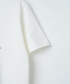 WEGO 【新色追加/手洗い可/綿100%/MLXLサイズ】クルーネックプリントTシャツ