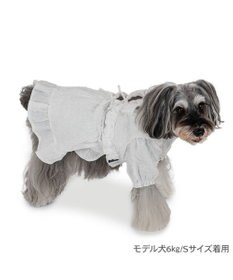PET PARADISE cherircouture フリルリボン ワンピース 《ホワイト》 小型犬