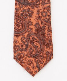 J.PRESS MEN ペイズリープリント ネクタイ