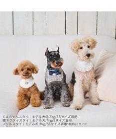 PET PARADISE ペットパラダイス くまちゃんスタイ 《王冠 》 小型犬