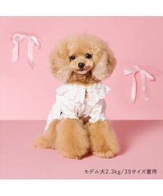PET PARADISE cherircouture レースフリル ワンピース 小型犬