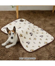 PET PARADISE ディズニー プルート ブランケット