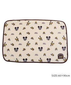 PET PARADISE ディズニー プルート ブランケット