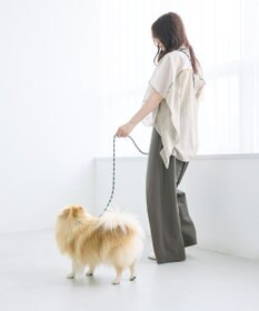 COQ HAPPY ARGYLE  ハンズフリーロングドッグリード