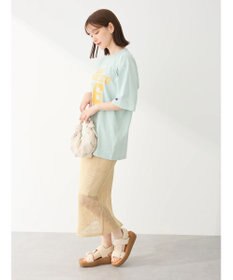 Green Parks ■Ｃｈａｍｐｉｏｎ　フットボールＴ