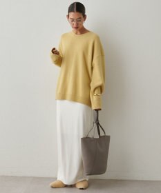 IACUCCI ノード CERVO